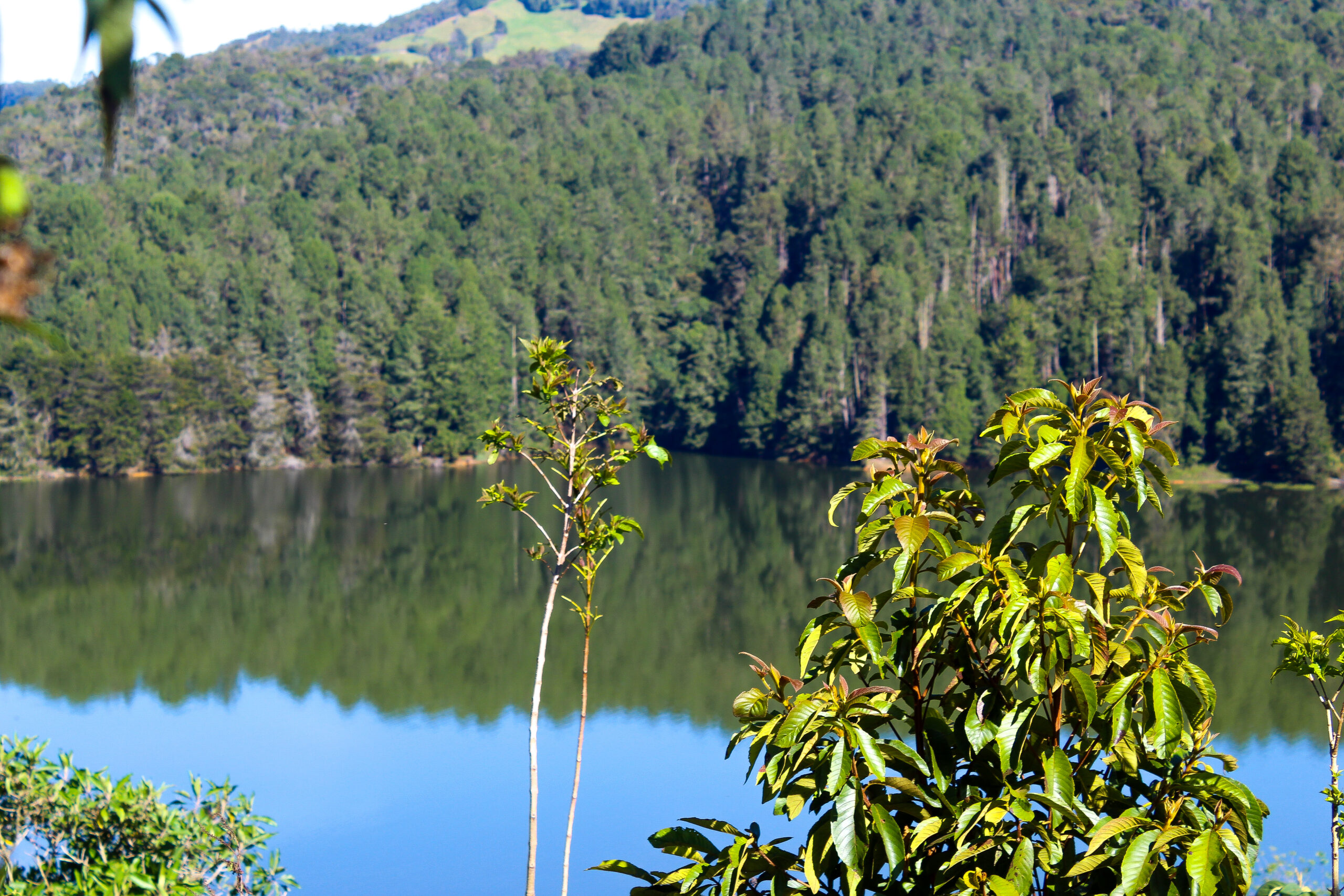 Gestión Integral del Agua y la Biodiversidad